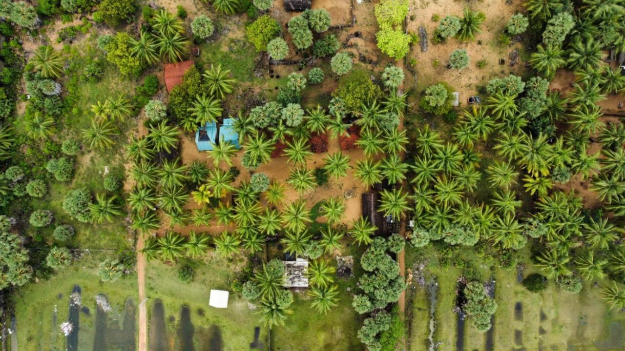araliya villa Kalpitiya Exteriör bild