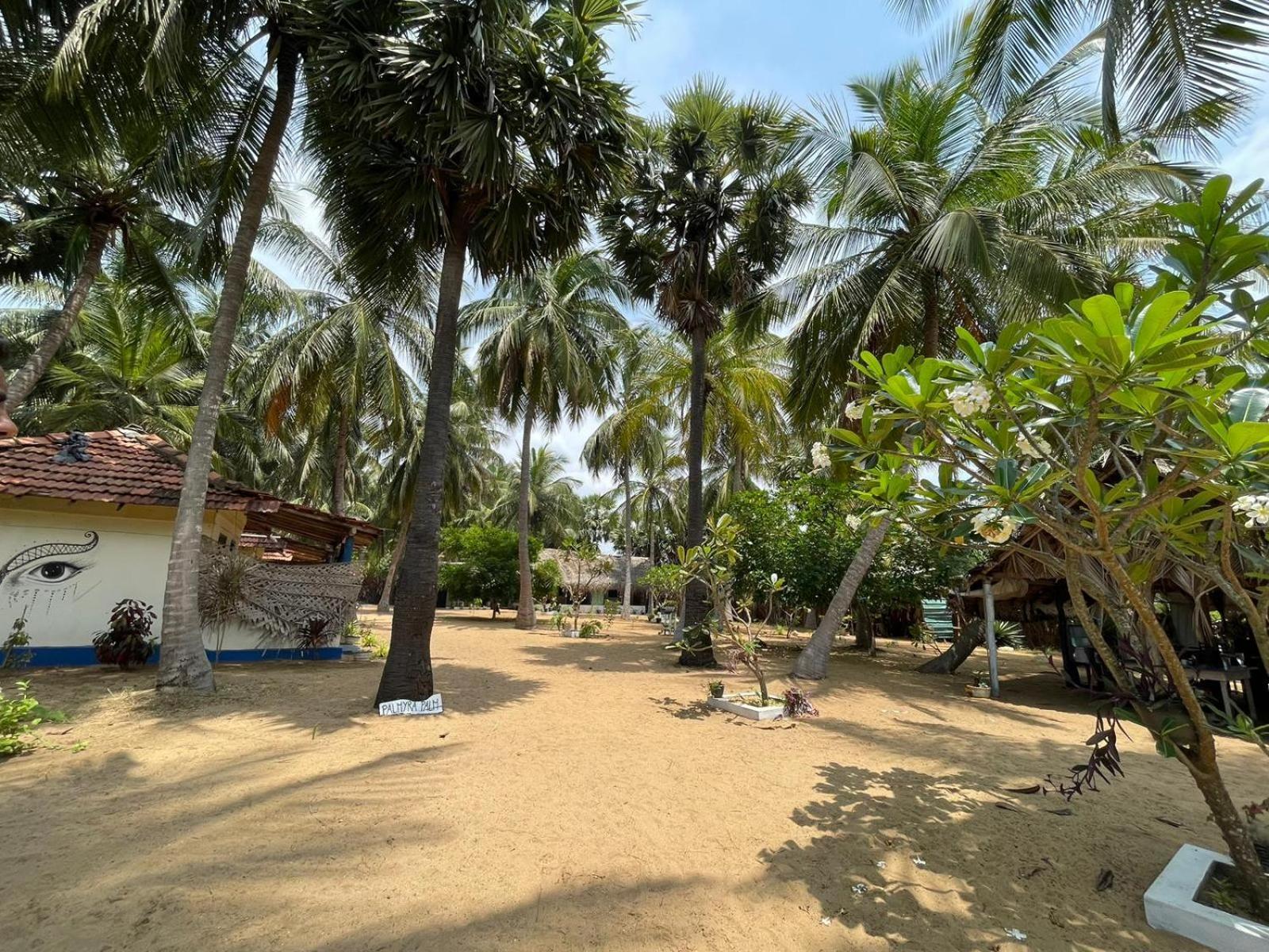 araliya villa Kalpitiya Exteriör bild