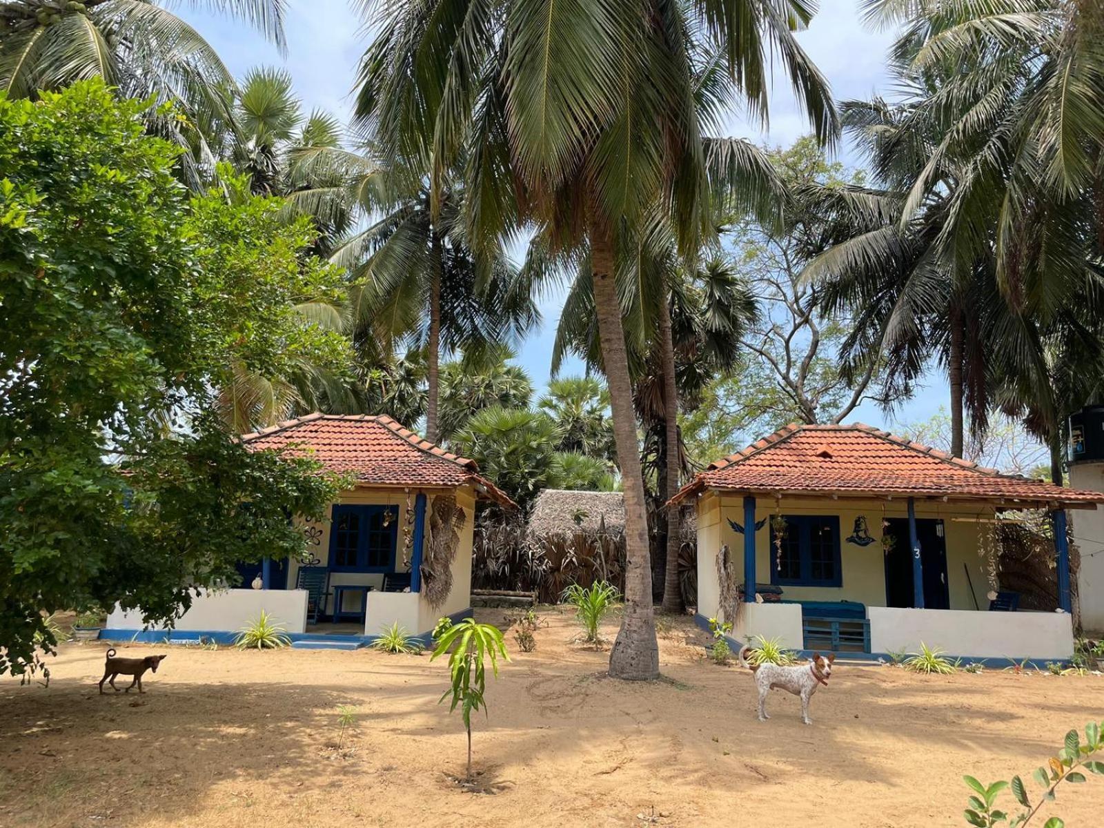 araliya villa Kalpitiya Exteriör bild
